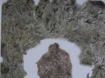 н