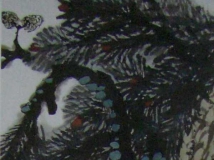 ͼ