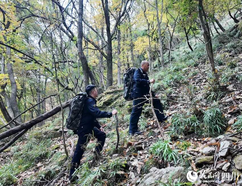 �¸��֣��ң����¹���ӡ���������������