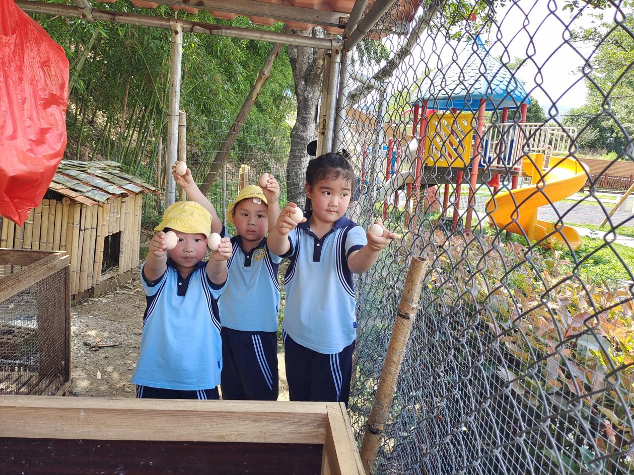 ԰ĺŷ԰񼦵Ϫʵ׶԰ͼ