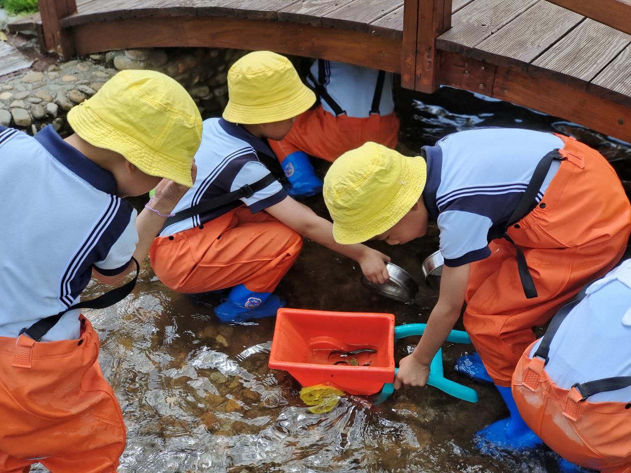 ԰ĺŷ԰ץϪʵ׶԰ͼ