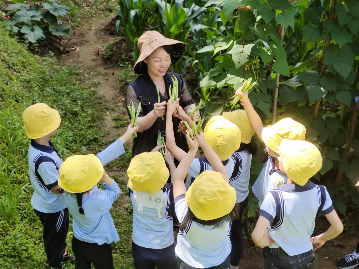 ԰ĺŷ԰ժǡϪʵ׶԰ͼ