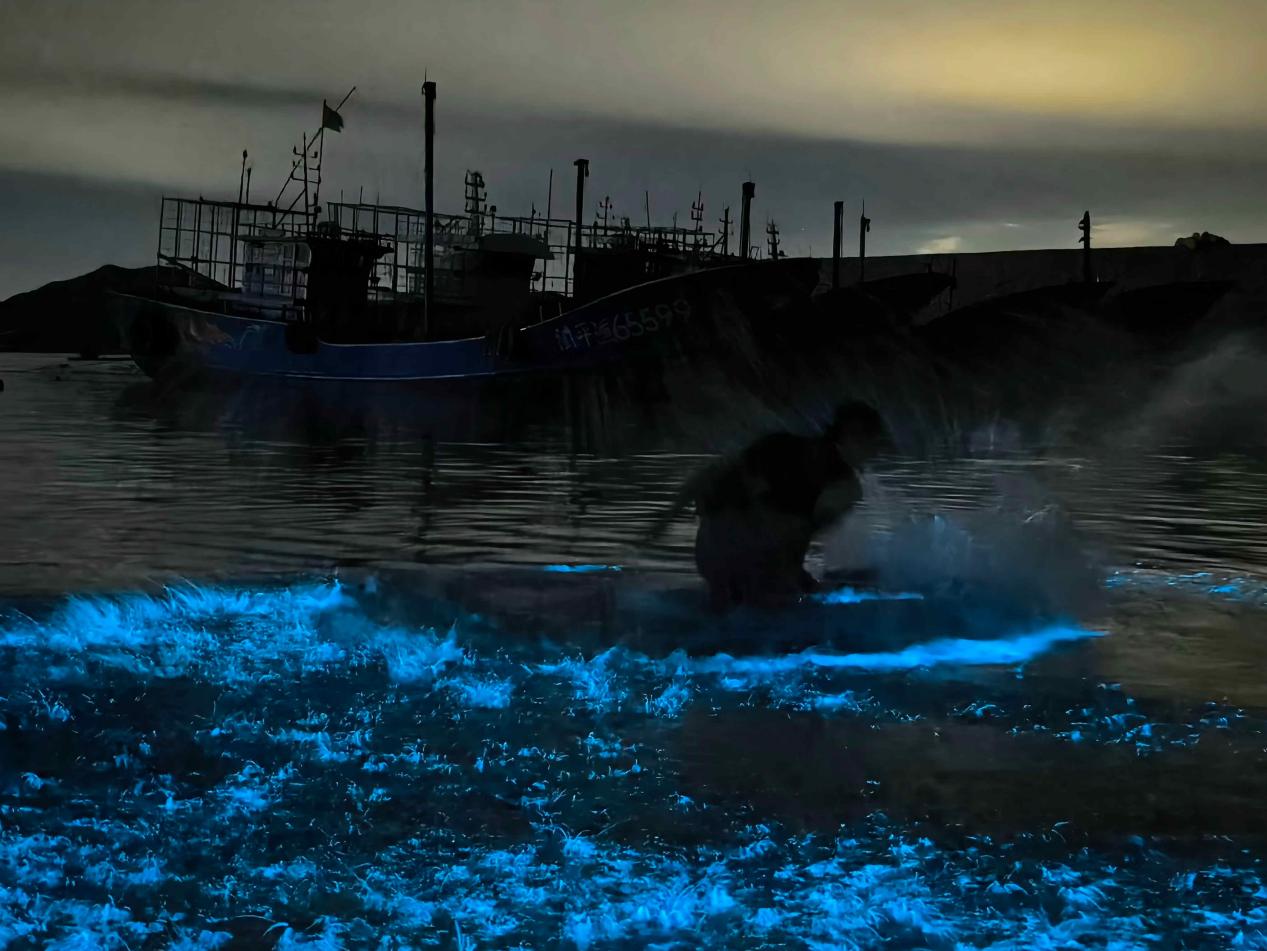 ÿ���3����6�£���ҹ��ƽ̶���߳�����ӿ��ӫ��ɫ�ĺ��ˣ����ǳ��뺣��Ψ���������ڶ������ο�Ѱ���ᡱ������������