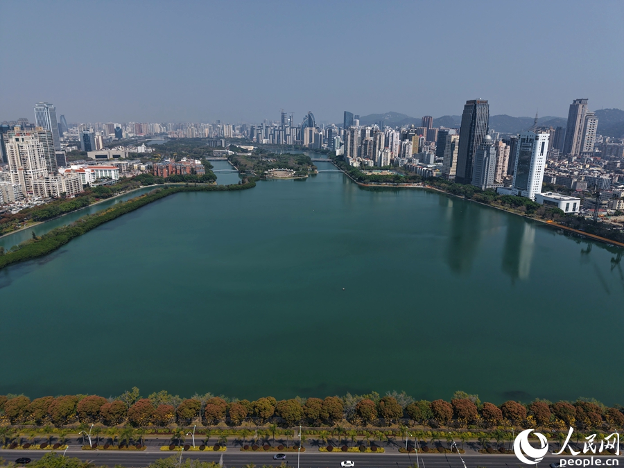 ���Ż���������o�Y�������������� �²���