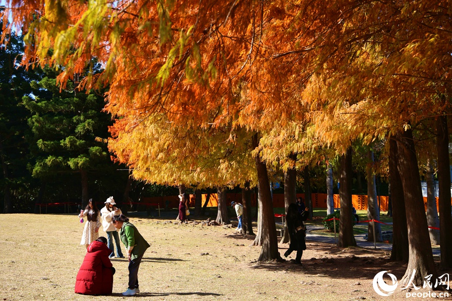 �����������Ϻ���԰���������������� �²���