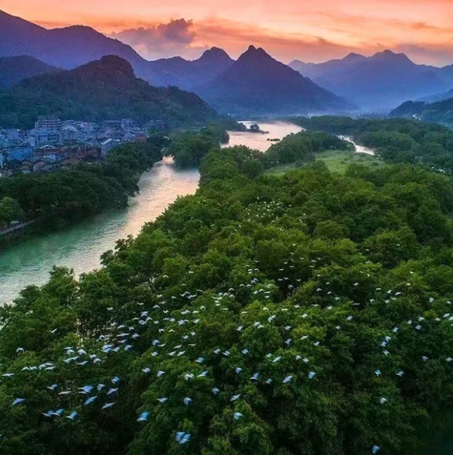 霍童溪。俞明寿摄