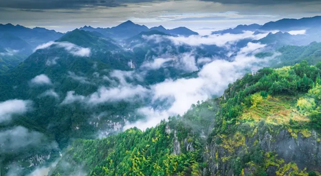 �����ؽ�ȫ���ֳ�+��Э�����ƣ�һ���ƽ����̡����̡����̣����Ϻ�ֲ��̬��ɫ�����ɽ��ˮ�����ɫ��������ˮ����