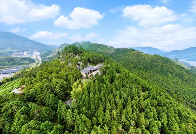 �����ء����⡱��̬����ѧϰʵ�����أ���̬ʵ������Ȼ֮���������ڣ������ɫ��չ��ͼ�����������