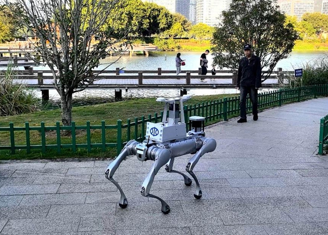 ������Ѳ��