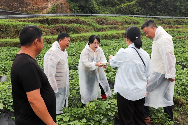 1766101046796432.jpg LOCAL1766050449676QE8GXVWGVT.jpg